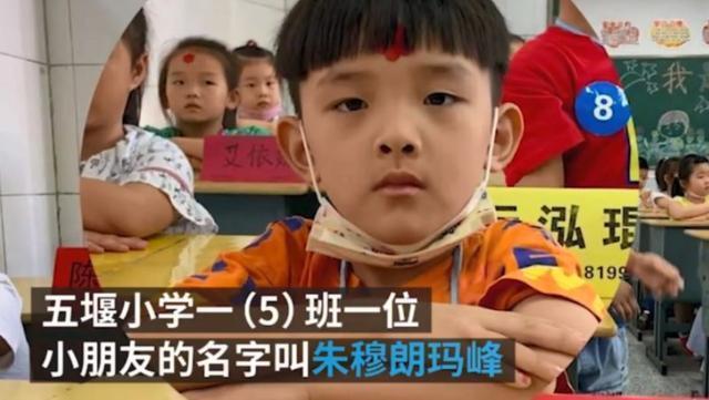 兴趣爱好|爷爷给孙儿取名“王奈”,办出生证时名字被打错,妈妈大喜:就它了