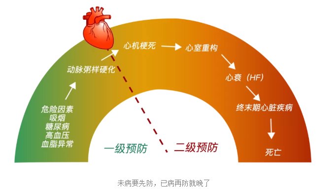 心肌梗死|【健哥说心脏】你想预测一下你患冠心病、脑中风的风险吗？