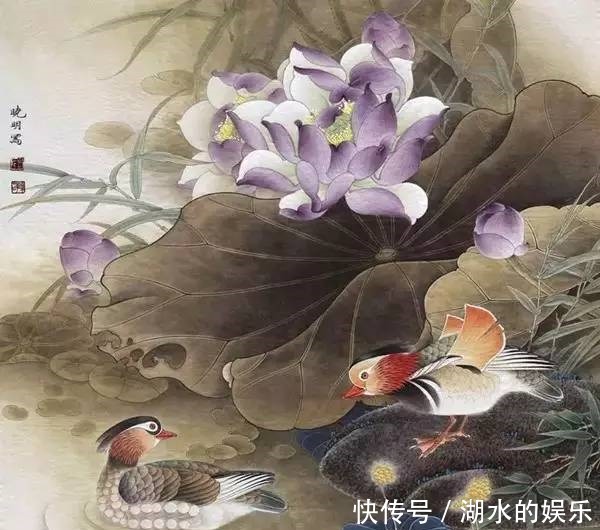 好漂亮的鸳鸯戏水图:祝愿天下有情人!