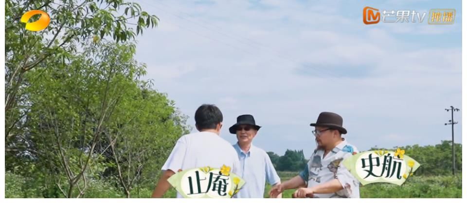 刘胜瑛|《向往5》即将收官为何大家还在“制作木屋”?背后原因很暖心