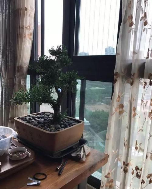 新房|婆婆硬要把新房装成中式风,完工后不说话了,给大家晒晒