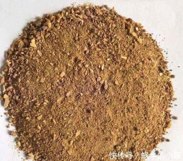 养君子兰,这两样东西放盆里,开花一年比一年多,侧芽长爆盆