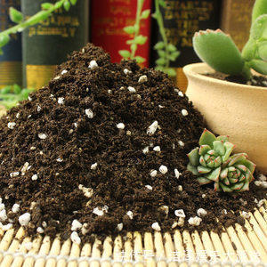 土壤|月季剪剪枝，蹭蹭长还不招虫，夏天开爆阳台！