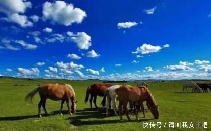 七律|杜牧的一首七律,淡淡说来,却透出深沉的悲慨