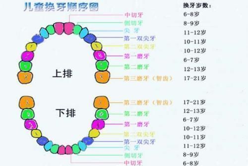 男孩|7岁男孩长“双排牙”，原因是妈妈的精细喂养，换牙期宝宝要注意