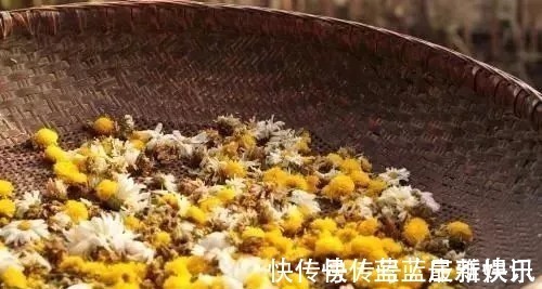 粥谱|会喝粥的人最长寿!秋季喝粥加点它,延年益寿、效果翻倍!