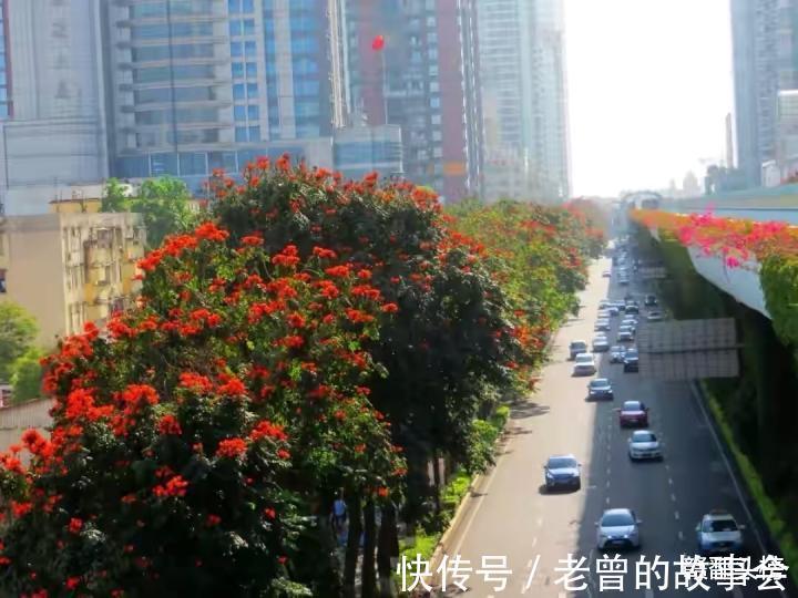 万一平|如果看待厦门高房价