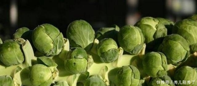 婆婆在花盆里种这“奇葩蔬菜”一株结果百十颗,邻居天天过来蹭吃