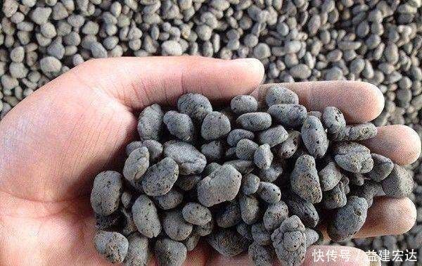 浇灌|往多肉盆里撒把这些东西,不烂根,爆盆又爆仔