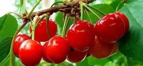 女性不想被叫“老女人”,多吃5种食物,补血养颜,越吃越年轻