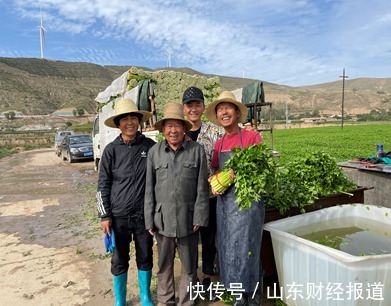 蔬菜|甘肃定西，他在直播间给菜“做媒”