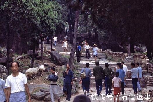 老照片|老照片：1983年的山东泰山