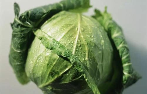  健脾|天然“养胃”的5大高手！每天吃一种，健脾养胃，赶走老胃病