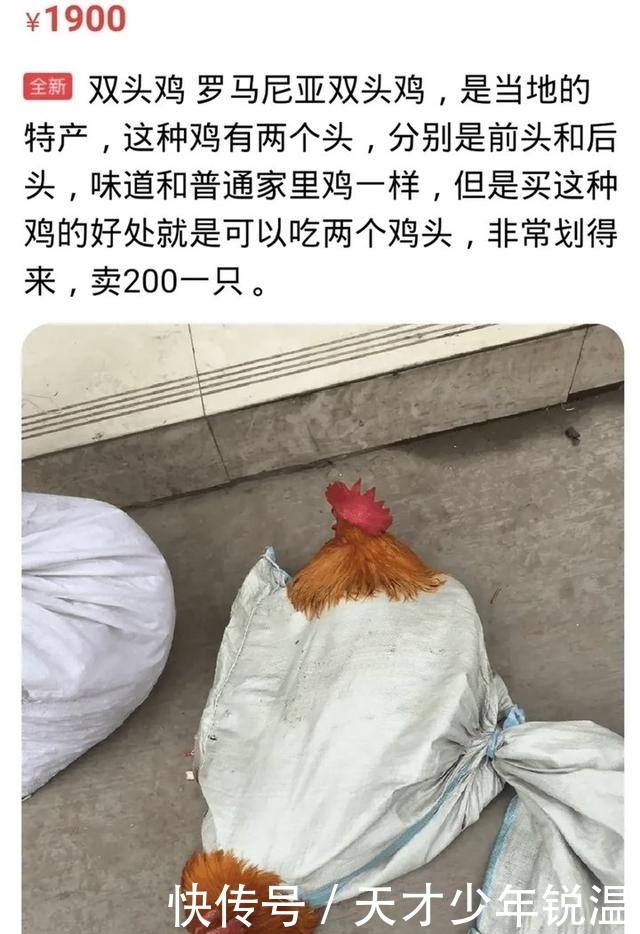 唢呐|闲鱼上的奇葩文学奖，笑到我妈让我改行吹唢呐