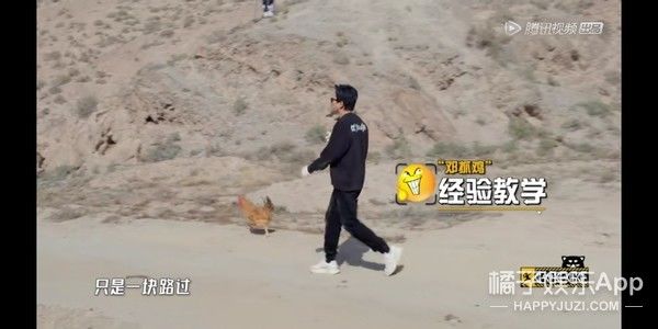 它逃，他追，它…跑的更飞？