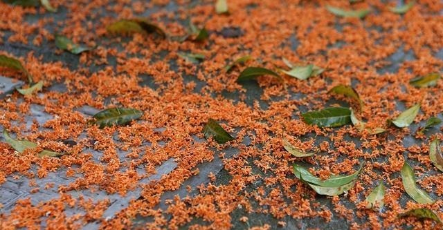 秦王|苏秦以连横说秦王国际诗篇六