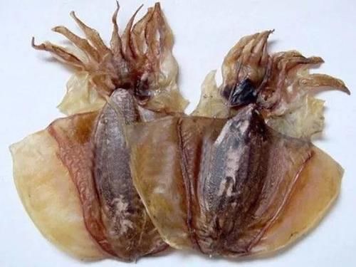 “墨鱼干”和“鱿鱼干”有啥区别?营养差别大,学会别乱买了