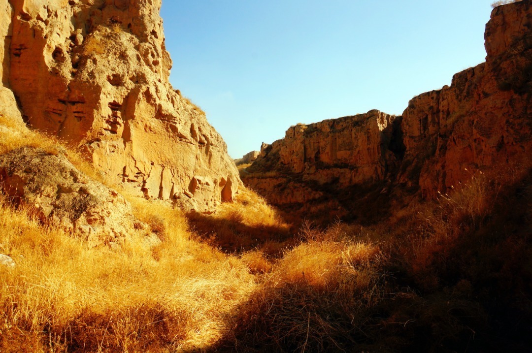 脚踏|一路银川,水洞沟遗址脚踏黄土来,机关四起藏兵洞