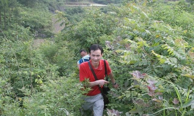 丈夫|儿子意外淹死，妇人想念太深，竟拿死人八字给算命先生还有劫难