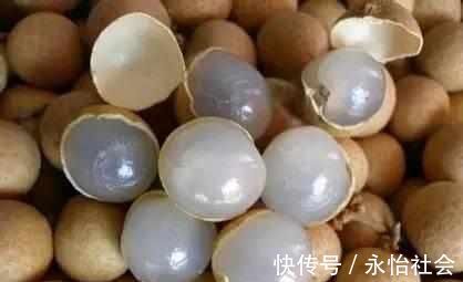 野果|农村一野果是失眠的“克星”, 晚上喝水泡几粒, 一觉睡到自然醒