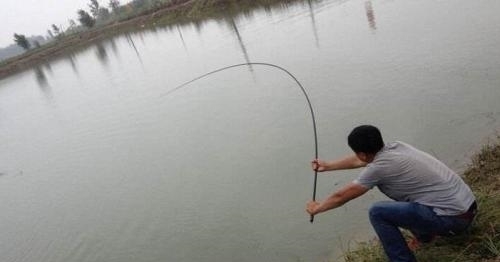 钓3-5公斤的大鱼，根据3点选择鱼钩，跑鱼少收获好