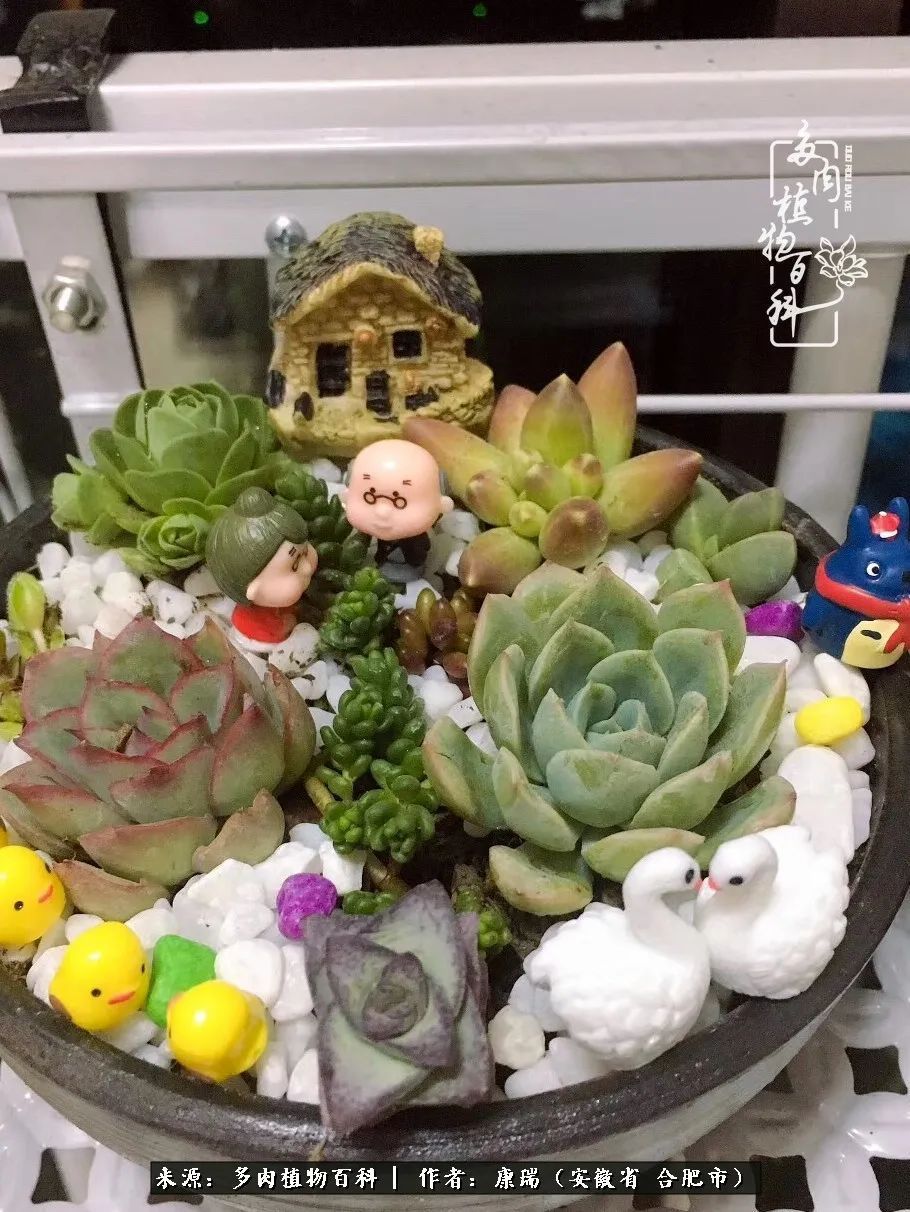 养肉之路，道阻且长，累的是身体，净的是心灵！