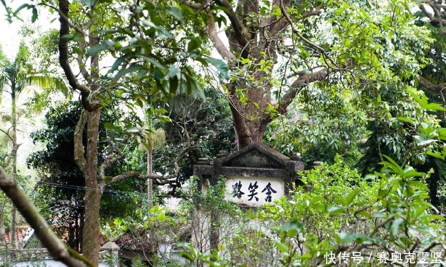 江南园林|广西藏了个“隐世”山庄，有山有水、地域风情浓郁，媲美江南园林