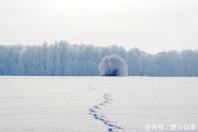 作文素材:名家笔下的冬天描写,建议抄写!