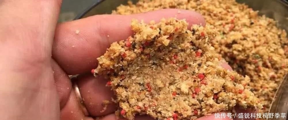 散落物|夏季钓鱼，面对小鱼大军的攻城略地，为何有些钓友输得很惨