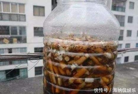 水果皮|养花人都知道的“5个偏方”,3分钟学会,一生受用,养啥都旺盛