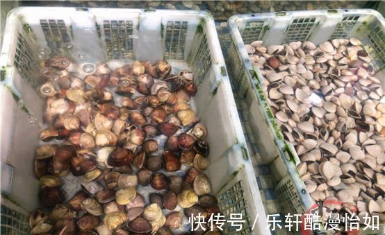 海鲜|渔民从不吃的两种海鲜，寄生虫“扎堆”，重金属超标，难吃还贵