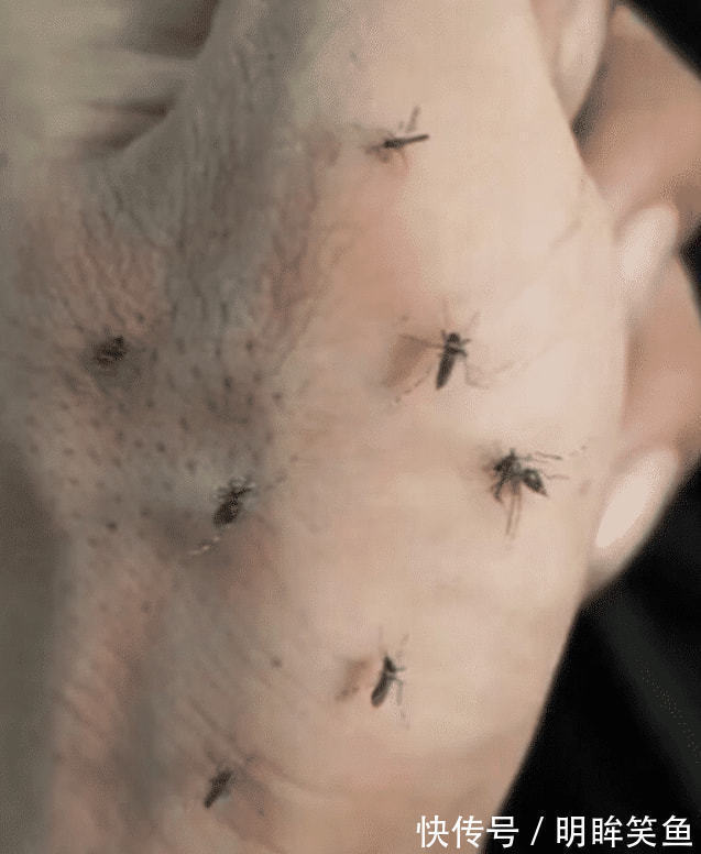 |搞笑GIF趣图:妹子很擅长玩石头剪刀布,一口气拿了五连胜