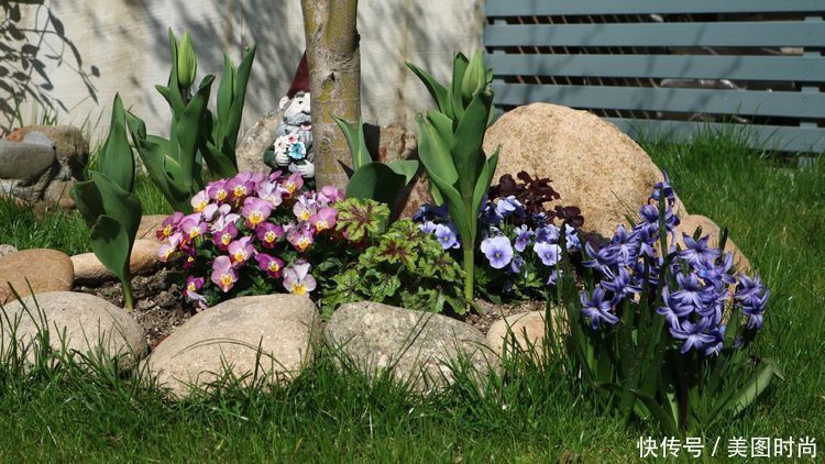 洋房|为了可以养花,我建了座小洋房,终于可以打造梦寐以求的花园了