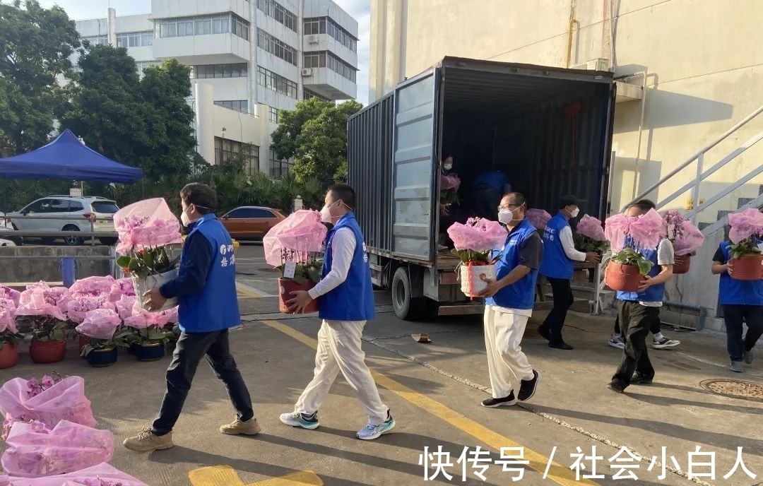 为你“花”心思!900多盆兰花,送上最美好的祝愿……