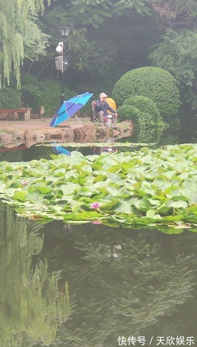 向高龄钓友请教的“摇三摇”钓法,毫无保留的分享给大家