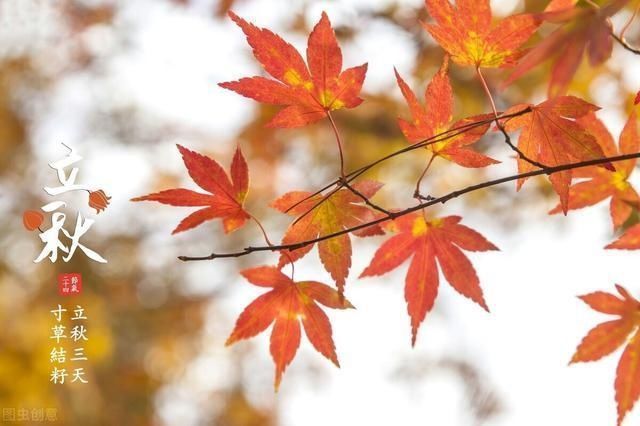 立秋|天凉好个秋,10首古诗道出立秋美景,值得品味