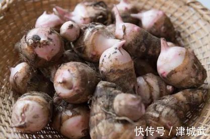 这6种适合冬季吃的碱性菜，一个比一个有营养，冷天炖肉特馋人