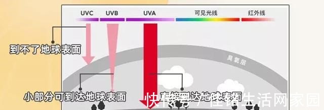 酒精 这些护肤你误区你知道吗!