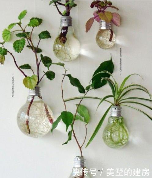 灯泡|旧灯泡都扔了?看完这个保证你会后悔