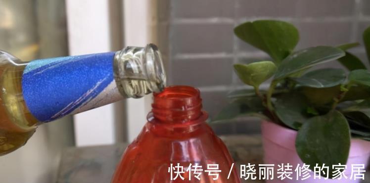 养花|养花浇水是门学问，不讲究迟早要吃大亏，别再随意用了