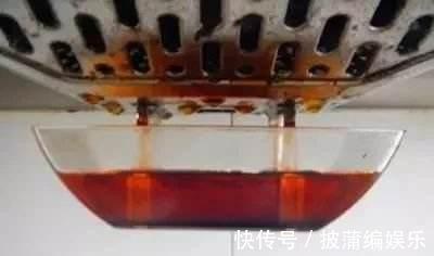 养虎皮兰时,盆里加2种东西,30天钻出钢芽,侧芽嗖嗖