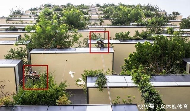 住房|成都第四代住房走红，30层高楼长满树木，每位业主都有私人庭院！