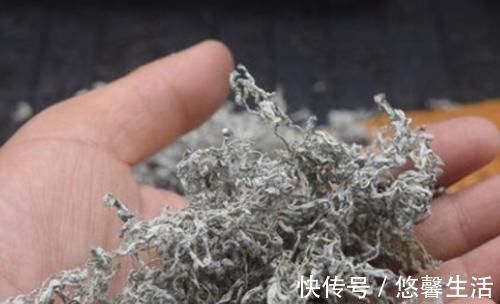 莓茶|濕氣多，別不管！此3物在飯后吃，清濕毒養精氣，全身更舒暢