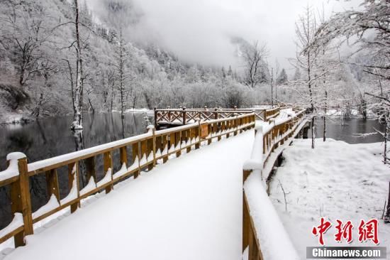 毕棚沟|四川毕棚沟雪景美如仙境