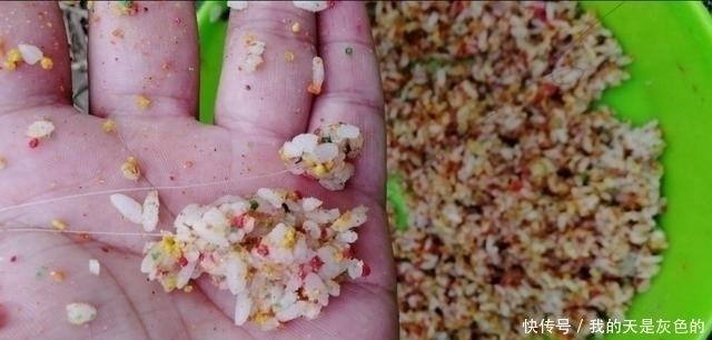 夏季|米饭粒这样用,这个夏季钓鲫鱼再也不怕小鱼闹,不信你就试试看