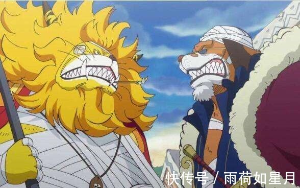 德雷克|海贼王990话,猫蝮蛇和犬岚变身对战杰克,杰克可能第一个战死