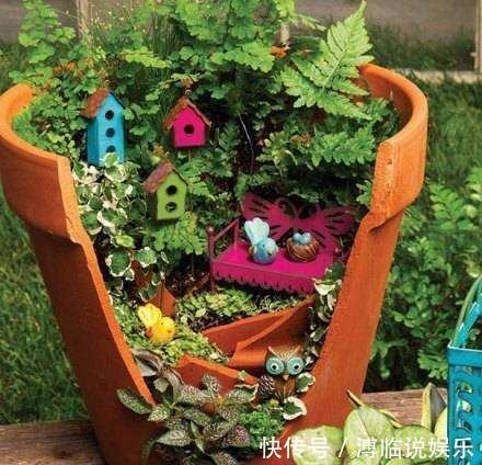 别买花盆了,去垃圾堆“逛1圈”,1分钱不用花,捡来一百个!