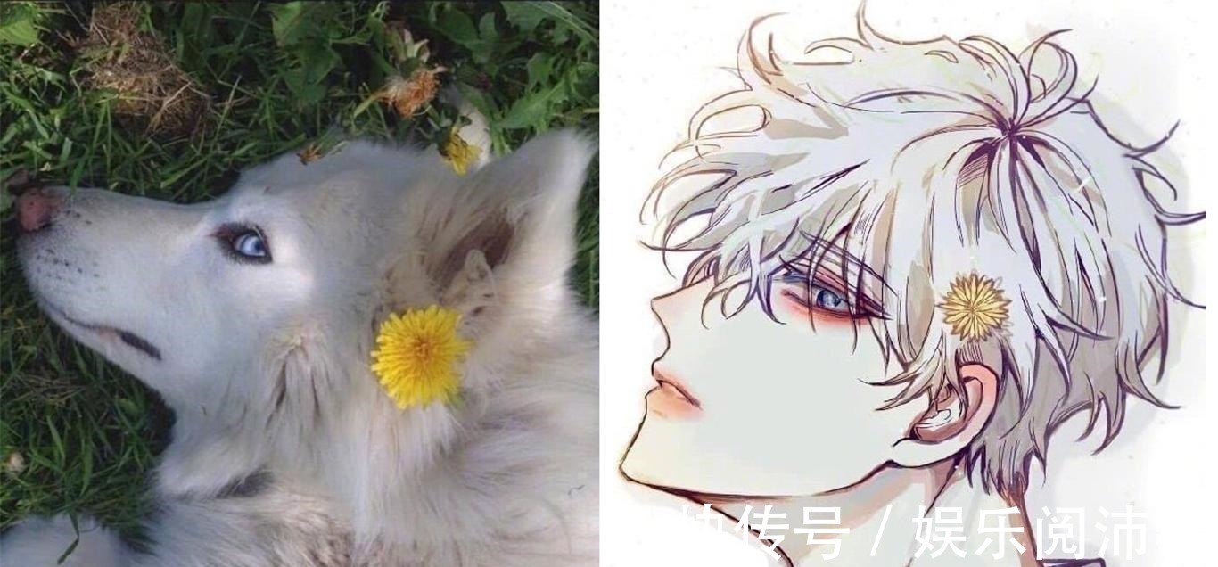 当动物被画师二次元化,可盐可甜可帅气,还是纸片人更让人心动