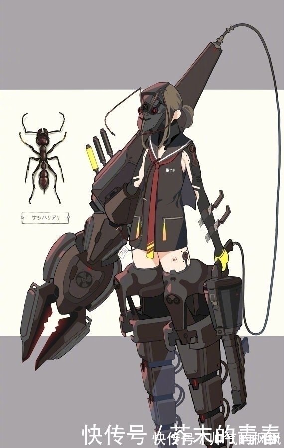 拟人化!昆虫×机械×美少女,这位画师的拟人化,实属“惊艳”
