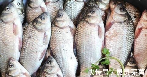 污染|这几类鱼尽量少吃,或对身体不利,不妨了解一下!